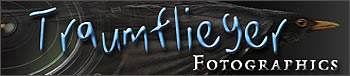 LogoTraunflieger